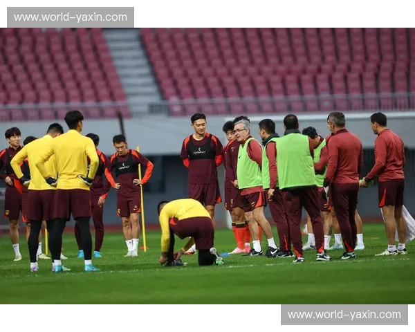 综合格斗公告——燃爆赛场的每一次心跳